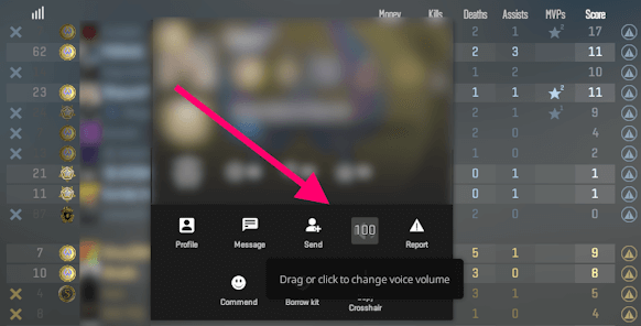 How To Mute All People Or Someone In CS GO CS2