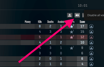 How To Mute All People Or Someone In Cs Go Cs