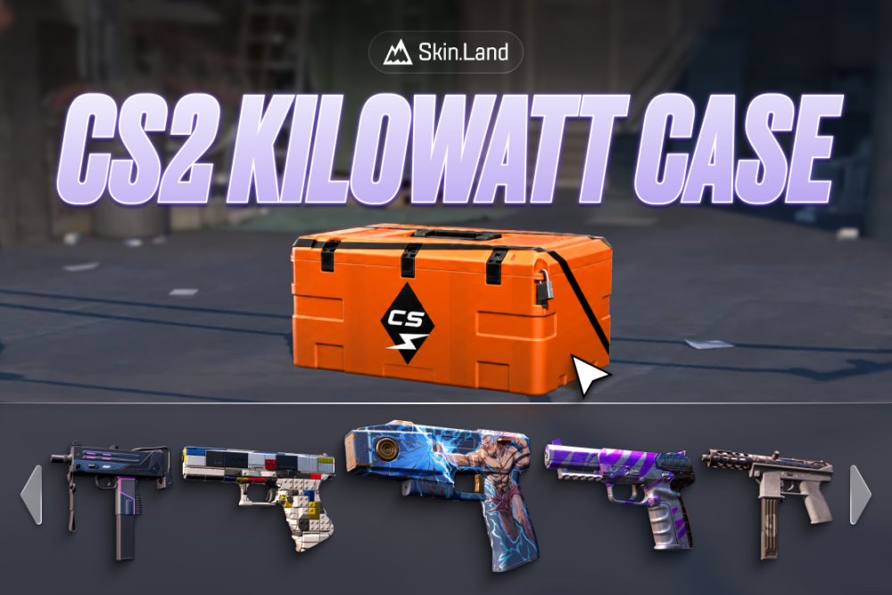 CS2 Kilowatt Case Guide