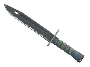 ★ Bayonet | Night