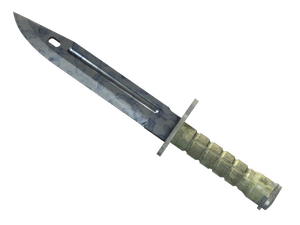 ★ StatTrak™ Bayonet | Stained (Minimal Wear)