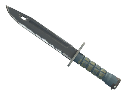 ★ StatTrak™ Bayonet | Night (Well-Worn)
