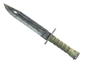 ★ ST™ Bayonet | Stained