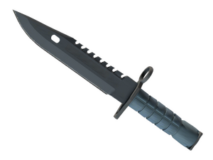 ★ ST™ M9 Bayonet | Night