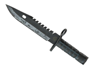 ★ ST™ M9 Bayonet | Night