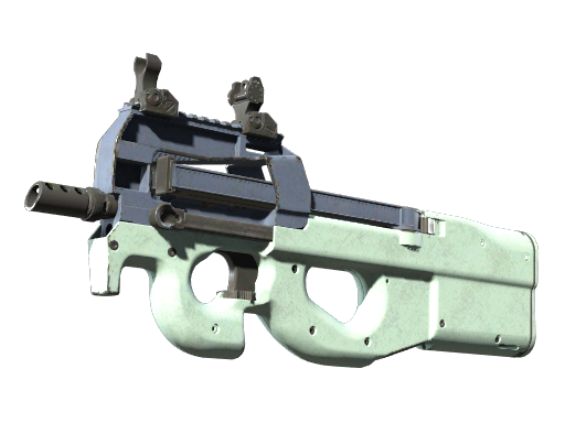 P90 | Storm (Well-Worn)