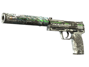 Souvenir USP-S | Road Rash