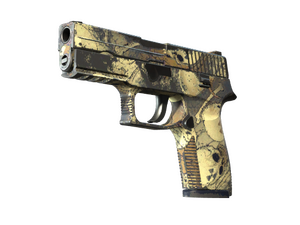 P250 | Contamination