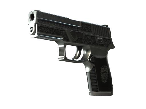 StatTrak™ P250 | Cartel (Well-Worn)