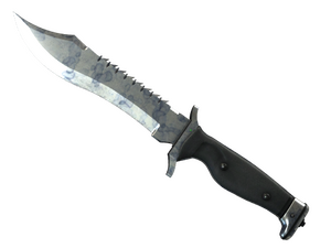 ★ StatTrak™ Bowie Knife | Stained (Well-Worn)