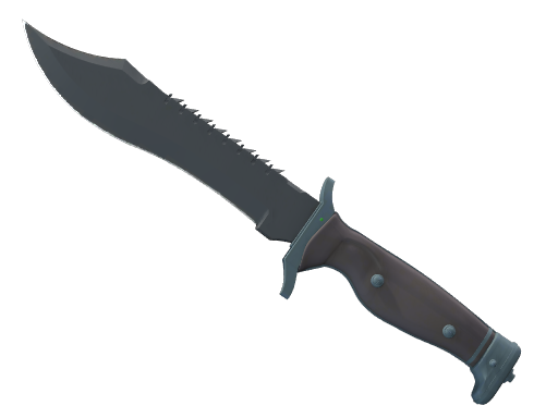 ★ Bowie Knife | Night (Minimal Wear)