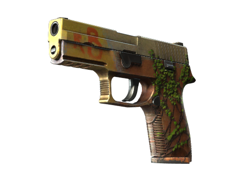 P250 | Inferno (Field-Tested)