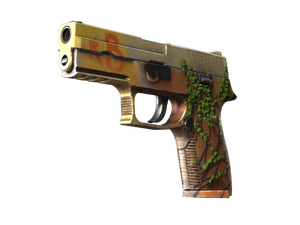 ST™ P250 | Inferno