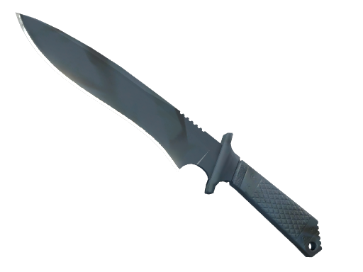 ★ Classic Knife | Night Stripe (Minimal Wear)
