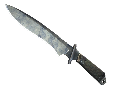★ StatTrak™ Classic Knife | Stained (Well-Worn)