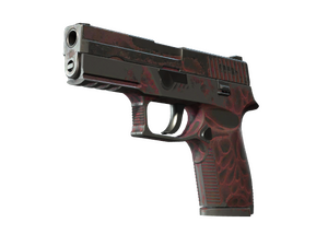P250 | Contaminant