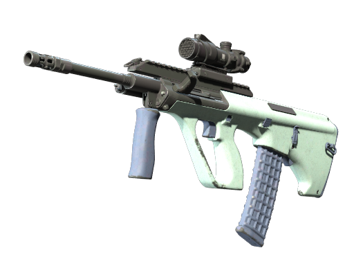 Souvenir AUG | Storm (Well-Worn)