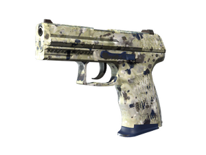 Souvenir P2000 | Granite Marbleized