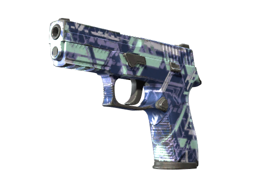 P250 | Digital Architect (Well-Worn)