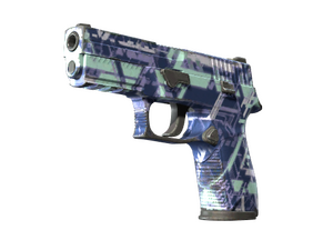 P250 | Digital Architect (Well-Worn)