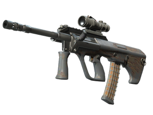 Souvenir AUG | Spalted Wood (Battle-Scarred)