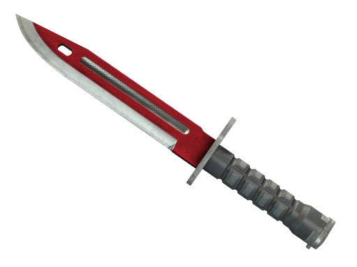 ★ Bayonet | Autotronic (Well-Worn)