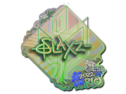 Buy Sticker | slaxz- (Holo) | Rio 2022 – price from $0.74 - Buy skins ...