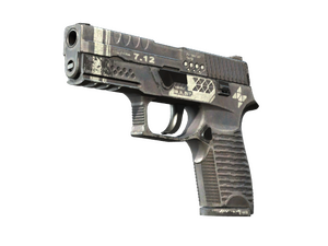 ST™ P250 | Re.built