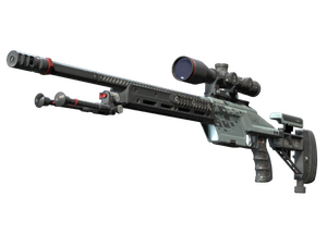 SSG 08 | Dezastre