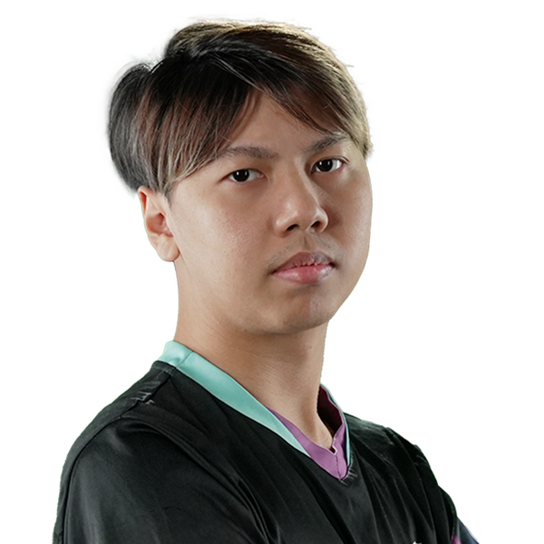 Holo Q Player Sticker - TI 2024