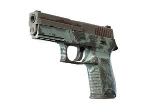 P250 | Copper Oxide (Battle-Scarred)