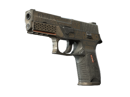 StatTrak™ P250 | Bullfrog (Battle-Scarred)