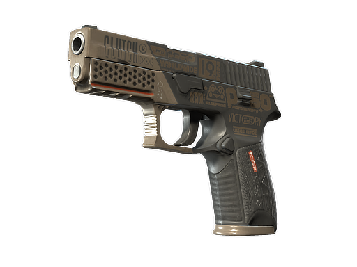 P250 | Bullfrog (Minimal Wear)