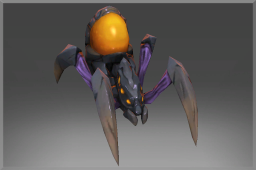 Amber Queen's Spiderling