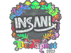 Sticker | insani (Holo) | Budapest 2025