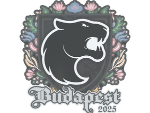 Sticker | FURIA | Budapest 2025