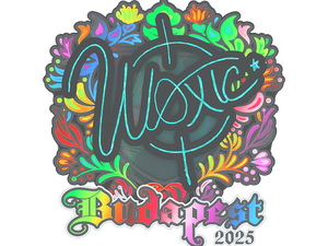 Sticker | woxic (Holo) | Budapest 2025