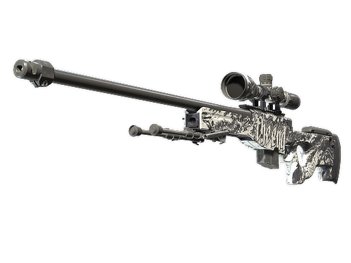AWP | The End (Well-Worn)