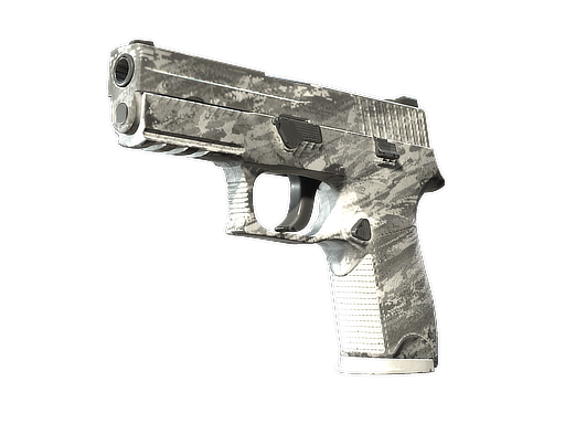 P250 | Sleet (Well-Worn)