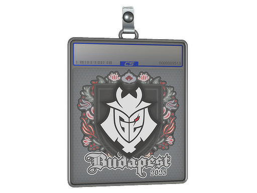 Sticker Slab | G2 esports | Budapest 2025