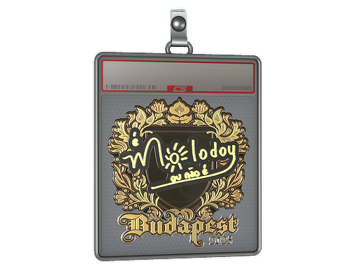 Sticker Slab | molodoy (Gold) | Budapest 2025