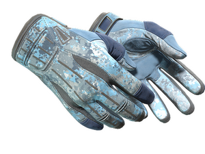★ Sport Gloves | Frosty (Factory New)