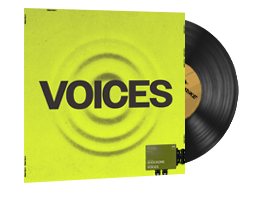 StatTrak™ Music Kit | ShockOne, Voices