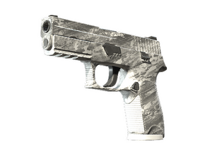 Souvenir P250 | Sleet (Minimal Wear)