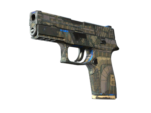 Souvenir P250 | Exchanger (Well-Worn)