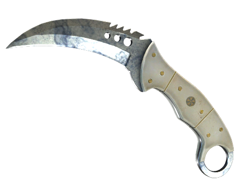 ★ StatTrak™ Talon Knife | Stained (Field-Tested)