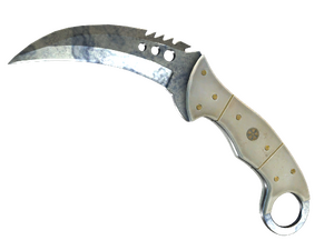 ★ StatTrak™ Talon Knife | Stained (Well-Worn)