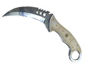 ★ StatTrak™ Talon Knife | Stained (Minimal Wear)