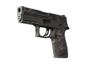P250 | Facility Draft