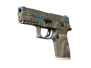P250 | Exchanger